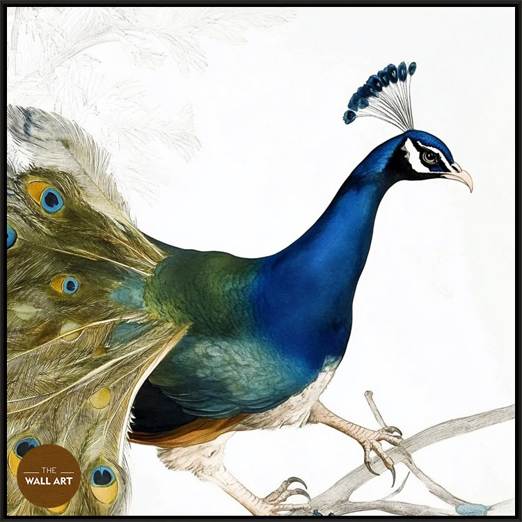 images/products/peacock_on_branch/peacock_on branch_BLACK.jpg